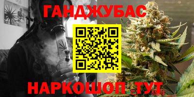 шишки Заводоуковск